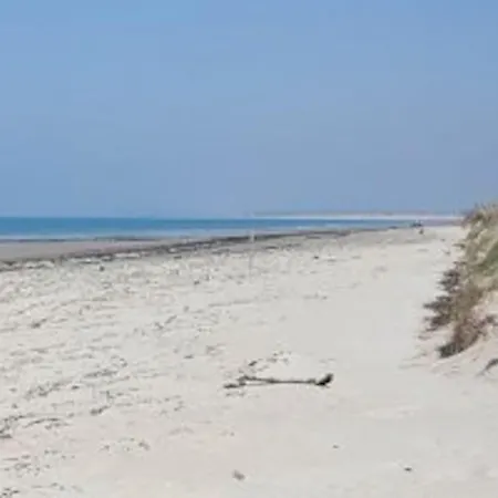 Les Aubins - Bord De - Cotentin